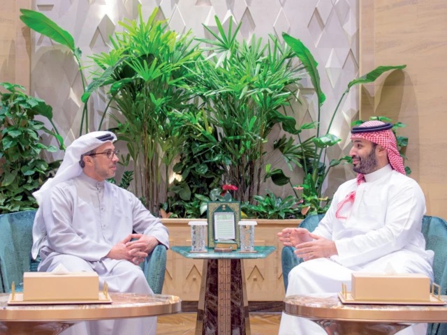 uae vice president sheikh mansour bin zayed al nahyan meets saudi crown prince mohammed bin salman in riyadh photo reuters uae vice president sheikh mansour bin zayed al nahyan meets saudi crown prince mohammed bin salman in riyadh photo reuters