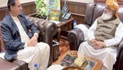national assembly speaker ayaz sadiq speaks with maulana fazlur rehman during a meeting at the jui f chief s residence photo express screengrab