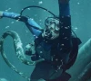 whalefall director hopes survival tale inspires awe of whales whalefall director hopes survival tale inspires awe of whales