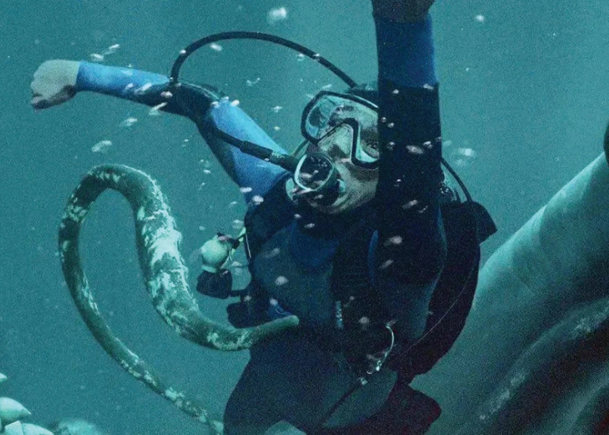 whalefall director hopes survival tale inspires awe of whales