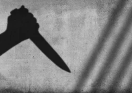 woman who killed her children remanded to police custody in karachi woman who killed her children remanded to police custody in karachi