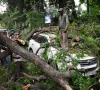 people remove a tree fallen over a car during a heavy storm in prayagraj in the northern state of uttar pradesh india reuters