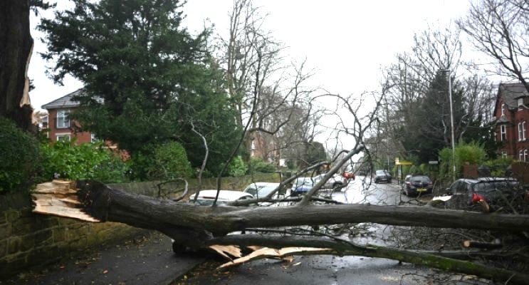 a fallen tree block the road in oxton west of liverpool after storm on december 7 photo afp