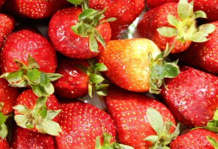 storms ravage fruit farms in khyber pakhtunkhwa storms ravage fruit farms in khyber pakhtunkhwa