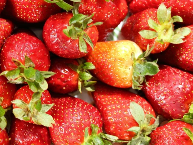 Storms ravage fruit farms in Khyber-Pakhtunkhwa