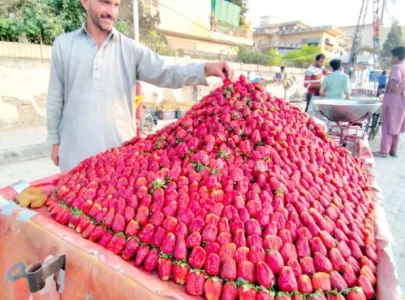 strawberry production suffers due to climate change strawberry production suffers due to climate change