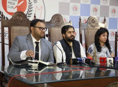 animal rights groups accuse punjab authorities of resuming stray dog killings animal rights groups accuse punjab authorities of resuming stray dog killings