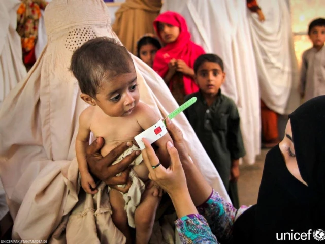 the research identified balochistan and sindh as the warmest and driest provinces with the highest rates of stunting and wasting photo unicef pakistan the research identified balochistan and sindh as the warmest and driest provinces with the highest rates of stunting and wasting photo unicef pakistan