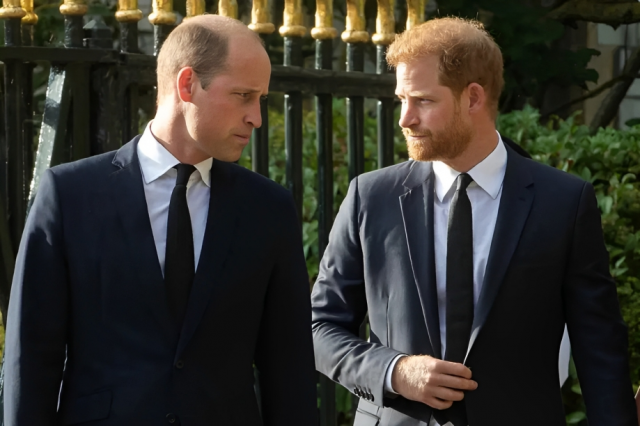 harry reveals prince william physically attacked him over meghan in 2019 harry reveals prince william physically attacked him over meghan in 2019