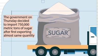 govt to import sugar after exports