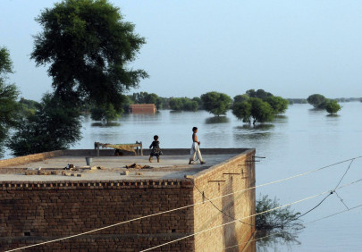 sight of tree tops signals residents that it s time to go back sight of tree tops signals residents that it s time to go back