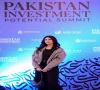 summit stresses better investment climate