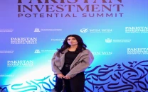 summit stresses better investment climate