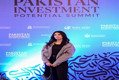 pakistan investment potential summit photo facebook
