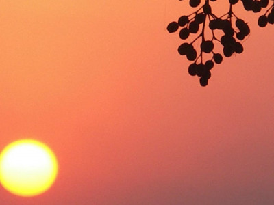 new year s eve additional force for safer celebration