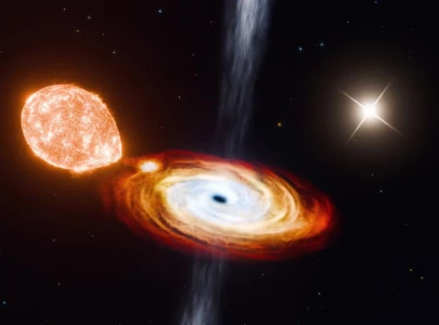 astronomers discover black hole born quietly without supernova blast astronomers discover black hole born quietly without supernova blast