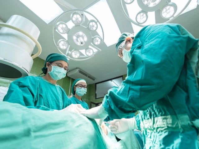 chinese scientists perform first ever pig to human liver transplant photo pixabay chinese scientists perform first ever pig to human liver transplant photo pixabay