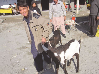 brigade rotation jirga resolves to eradicate militancy