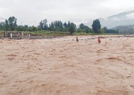 k p appoints focal persons to monitor flood hit areas