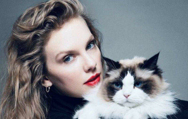 taylor swift said on tuesday that she will vote for harris photo instagram taylor swift said on tuesday that she will vote for harris photo instagram