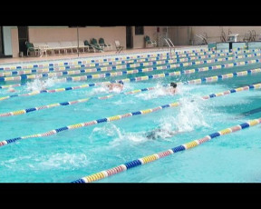 karachi grammar school successfully defend sindh women s swimming championship 2025
