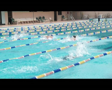karachi grammar school successfully defend sindh women s swimming championship 2025