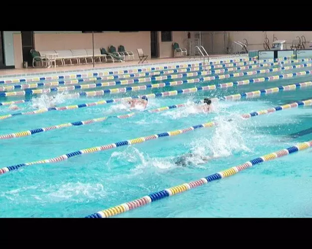 karachi grammar school successfully defend sindh women s swimming championship 2025