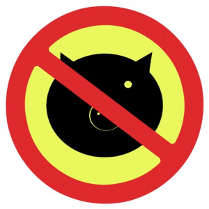 swine flu one more patient diagnosed swine flu one more patient diagnosed