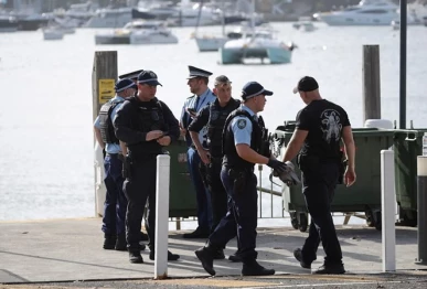shark mauls teenage boy in sydney harbour photo afp