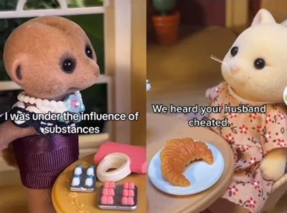 tiktoker sylvaniandrama sued by calico critters parent company over viral soap opera videos tiktoker sylvaniandrama sued by calico critters parent company over viral soap opera videos