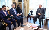 pm shehbaz reaffirms support for syria s sovereignty after israeli strikes in meeting with fm asaad hassan pm shehbaz reaffirms support for syria s sovereignty after israeli strikes in meeting with fm asaad hassan
