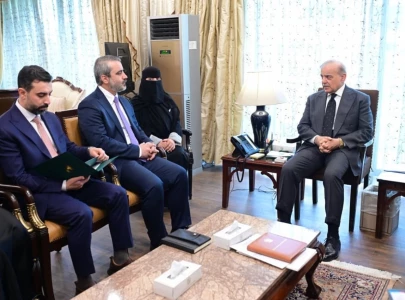 pm shehbaz reaffirms support for syria s sovereignty after israeli strikes in meeting with fm asaad hassan