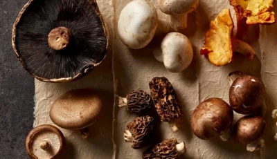 7 surprising health benefits of incorporating mushrooms into your diet