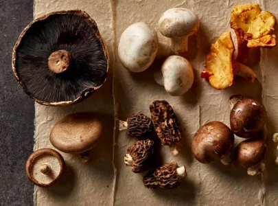 7 surprising health benefits of incorporating mushrooms into your diet 7 surprising health benefits of incorporating mushrooms into your diet