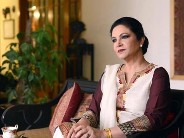Tahira Syed dismisses death rumours, assures fans she is in good health | The Express Tribune