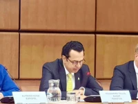 minister of state for interior talal chaudhry at a high level meeting of the global alliance to counter migrant smuggling in vienna austria july 4 2026 photo radiopak minister of state for interior talal chaudhry at a high level meeting of the global alliance to counter migrant smuggling in vienna austria july 4 2026 photo radiopak