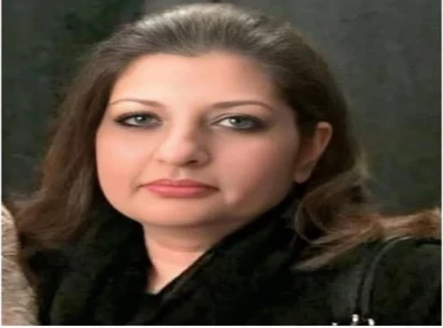 form 47 declares ppp candidate winner in na 213 by polls form 47 declares ppp candidate winner in na 213 by polls