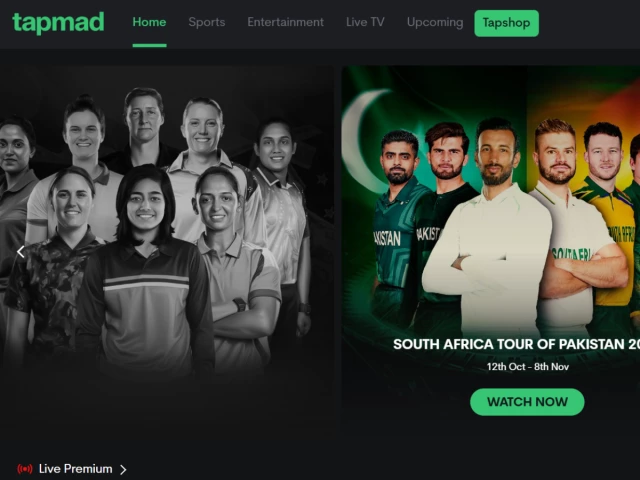 a screenshot from the official tapmad website