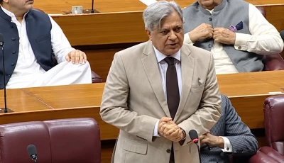 law minister azam nazeer tarar during na session on october 14 2026 screengrab
