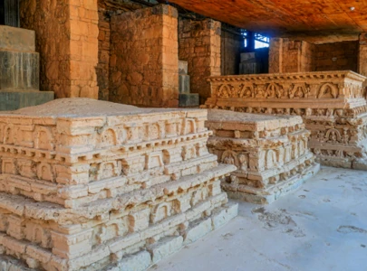 diplomats visit ancient jaulian ruins