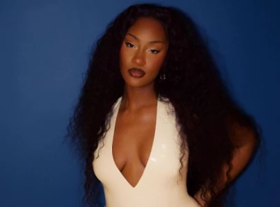 everything you need to know about tems debut album born in the wild everything you need to know about tems debut album born in the wild