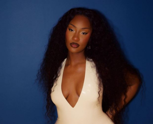 everything you need to know about tems debut album born in the wild everything you need to know about tems debut album born in the wild