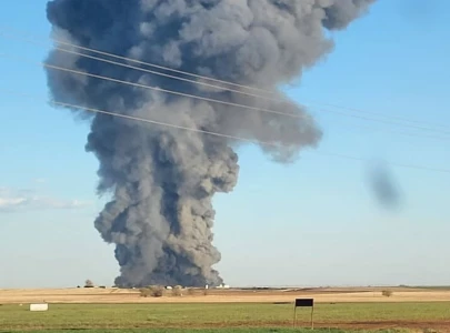 over 18 000 cows die in texas dairy farm blaze