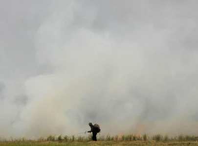 thailand orders stubble burning crackdown