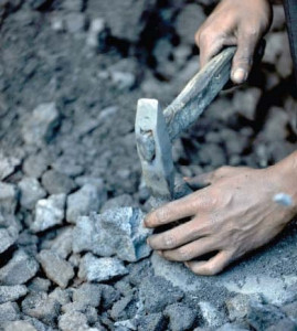 thar coal and energy board to be formalised