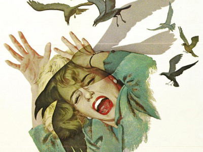 fear in pakistan hitchcock the taliban and us fear in pakistan hitchcock the taliban and us