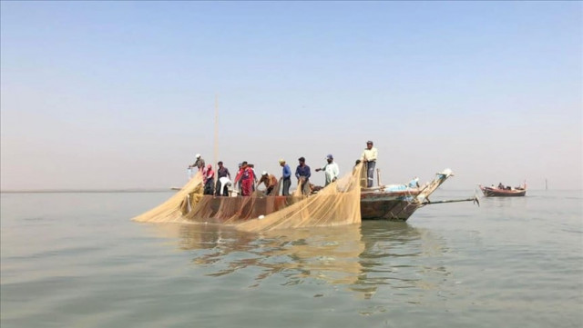 pakistan s prized palla fish is near extinction pakistan s prized palla fish is near extinction