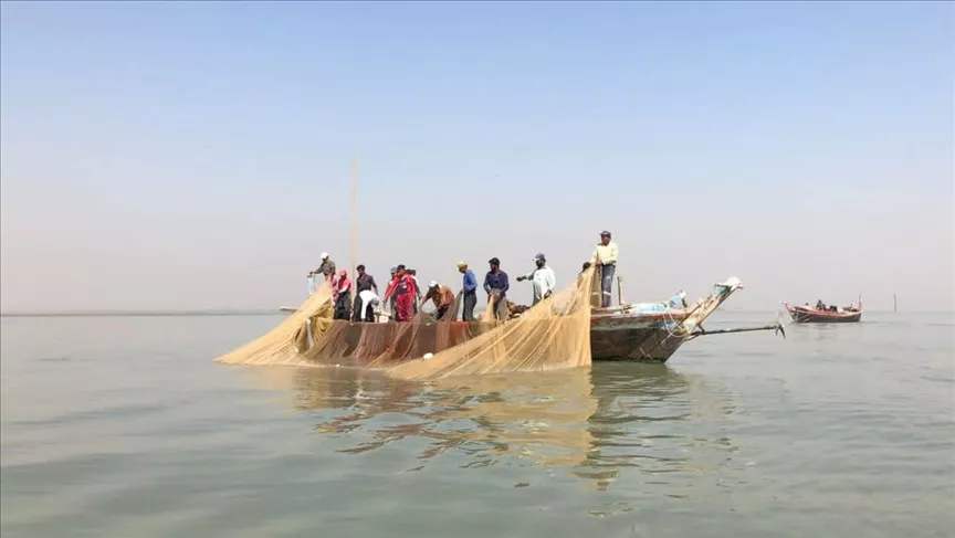 pakistan s prized palla fish is near extinction pakistan s prized palla fish is near extinction