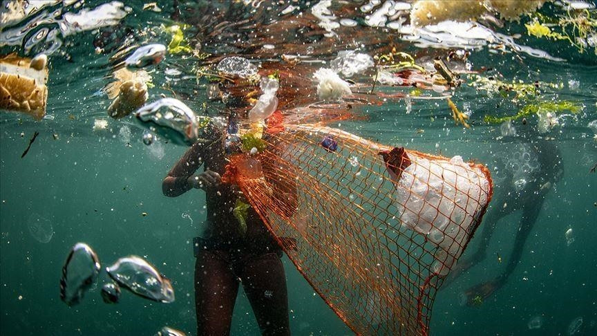 BD researchers find alarming level of microplastics in sugar - Vimarsana News