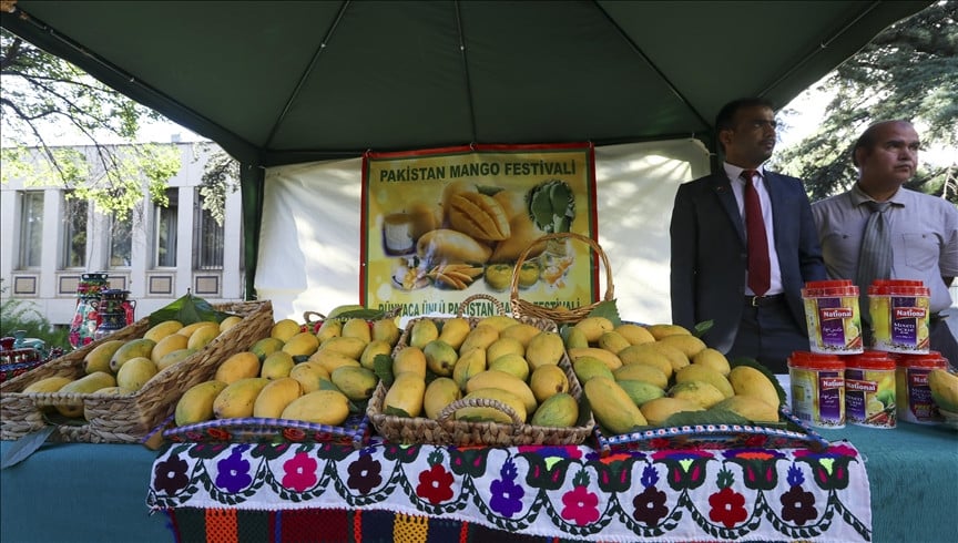 Photo of Pakistan’s Embassy in Türkiye holds mango festival